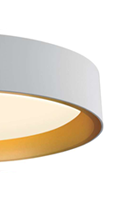 White gold round ceiling lamp