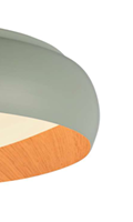 LED ceiling light
