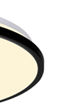 Black frame ceiling lamp
