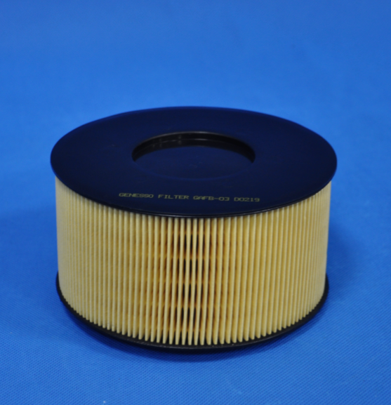 BMW Car Air Filter