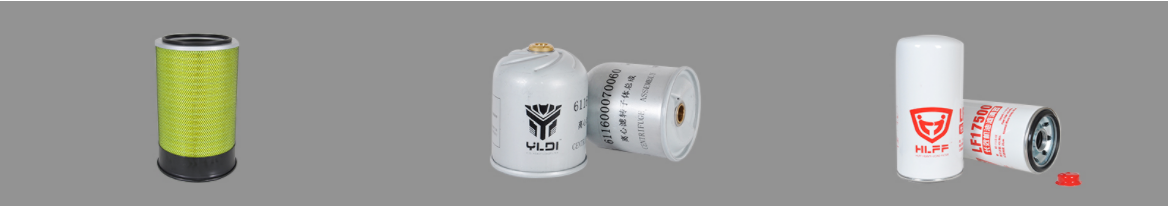 Europe truck fuel filter