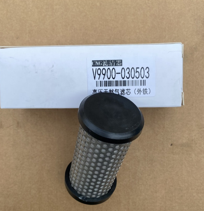 9716550107+001 Gas Filter LNG