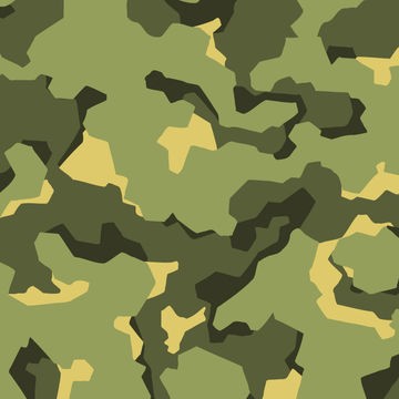 PPGI Camouflage Pattern Pre-painted Coil Steel Sheet Z30 Z275 SGCC CGCC