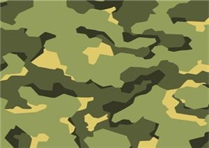 PPGI Camouflage Galvanized Steel Roofing Sheet