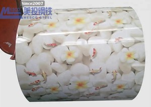 Container House Material Flower PPGI Steel Coil PPGI/PPGI for Roofing Material Building Material