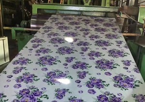 Container House Material Flower PPGI Steel Coil PPGI/PPGI for Roofing Material Building Material
