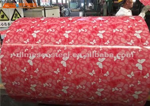 Container House Material Flower PPGI Steel Coil PPGI/PPGI for Roofing Material Building Material