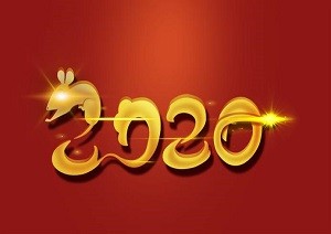 The 6th New Year Party of Dalian Bright Pearl Network Chamber of Commerce