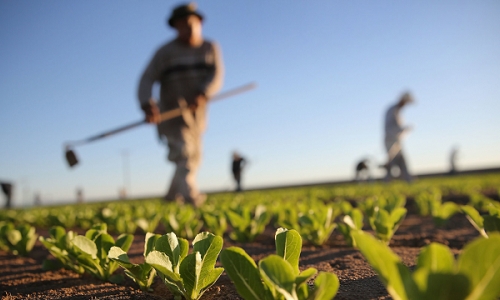 How solar pump inverters are transforming agriculture in South America