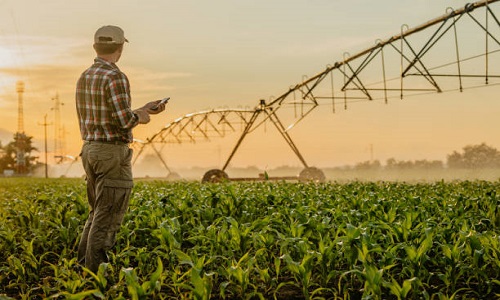 Optimizing Livestock Water Management through Solar Inverters