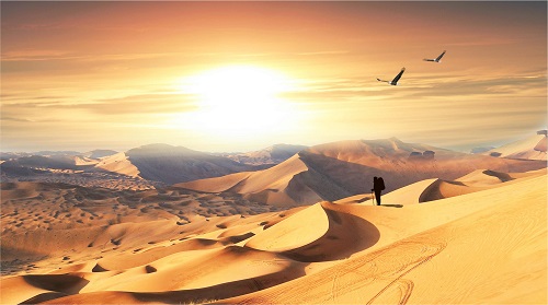 تصميم وتطبيق حماية التوافق الكهرومغناطيسي لمحركات التردد المتغير
