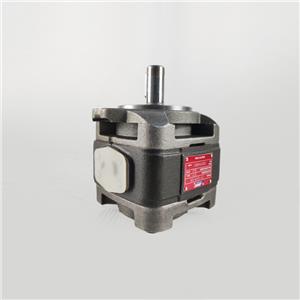 Hytek Type CP1-25-P-10R Hydraulic Mini Gear Pump