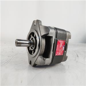 Hytek Type CP1-25-P-10R Hydraulic Mini Gear Pump