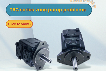 Problemas da bomba de palhetas da série T6C