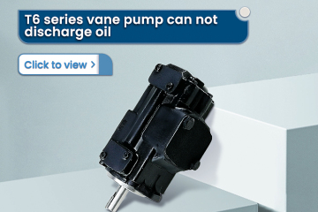 A bomba de palhetas da série T6 não pode descarregar o óleo