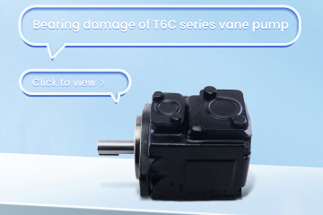 Danos no rolamento da bomba de palhetas da série T6C