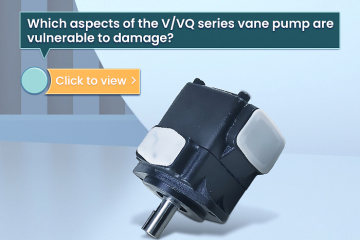 Quais aspectos da bomba de palhetas da série V/VQ são vulneráveis ​​a danos?