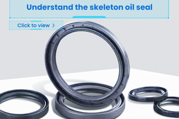 Entenda o esqueleto do selo de óleo