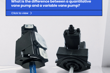 Qual é a diferença entre uma bomba de palhetas quantitativa e uma bomba de palhetas variável?
