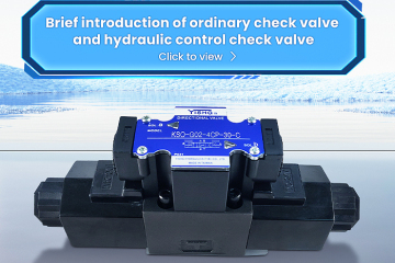 Breve introdução da válvula de retenção comum e válvula de retenção de controle hidráulico