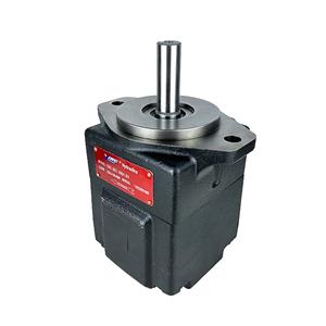 Bomba Hidráulica de Palhetas YiHe Tipo T6C-008-1R00-B1