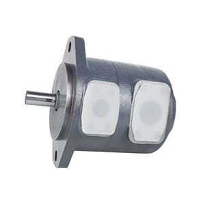 ييهي نوع SQP2-21-(1A 1B 1C 1D)-18 مضخة ريشة الزيت الهيدروليكي