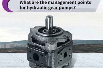 Quais são os pontos de gerenciamento das bombas hidráulicas de engrenagens?