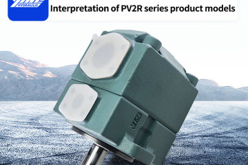 Interpretação dos modelos de produtos da série PV2R