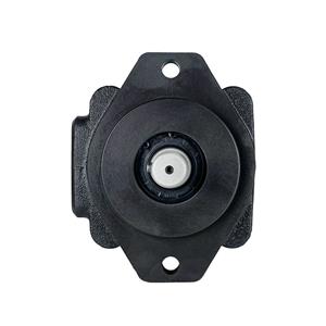 YIHE Type DVQ25-18/22/26/32/38-F-RAA-01 Hydraulic Oil Vane Pump