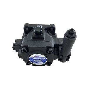 YISHG HVP-30 40 -F-140 A3 A2 electric special high-pressure variable vane oil pump with large displacement