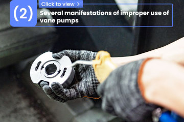 Diversas manifestações de uso indevido de bombas de palhetas