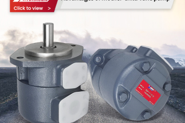 Vantagens da bomba de palhetas mãe-filho