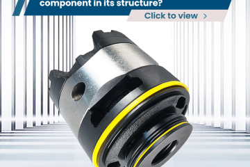 Por que a bomba de palhetas usa um componente central da bomba em sua estrutura?