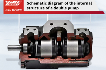 Diagrama esquemático da estrutura interna de uma bomba dupla