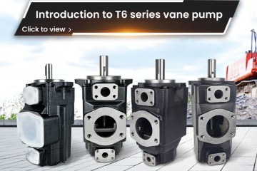 Introdução à bomba de palhetas da série T6