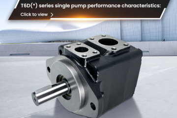 Características de desempenho da bomba única série T6D(*):