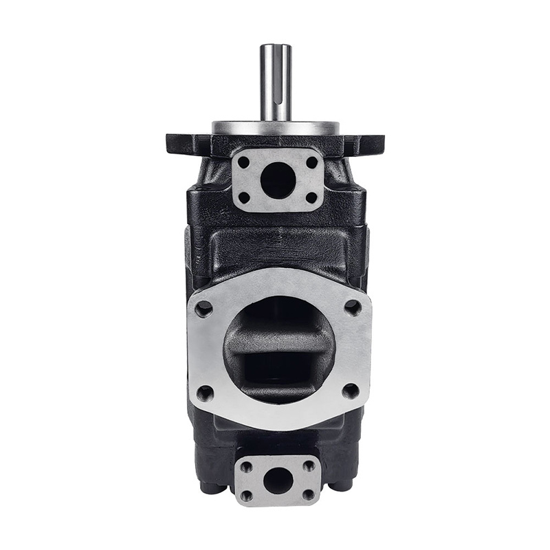 YIHE Hydraulic Double Vane Pump T6DD Series Quantitative Hydraulic Pump T6DD 050 035 1R02