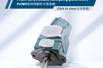 Parámetros de la bomba de paletas doble serie PV2R11