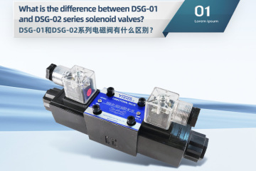 What is the difference between DSG-01 and DSG-02 series solenoid valves?