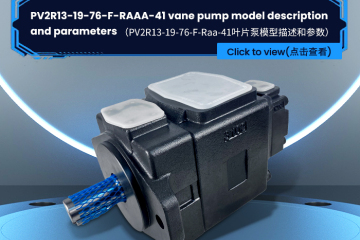 PV2R13-19-76-F-RAAA-41 vane pump model description and parameters