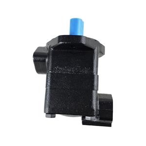 Hydraulic vane pump SDV10-1P1P/1P2P/1P3P/1P4P/1P5P/1P6P/1P7P injection molding machine oil pump