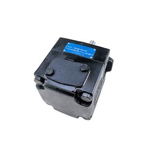 Replaceable DENISON type servo vane pump T7BS-B02/B03/B06/B07/B08/B10/B12/B15-1R00/1R02/1R03/1R04-A1M0/A1M1 quantitative oil pump