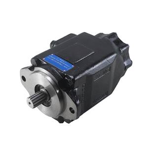 Replace Parker Denison Double Vane Pump T7DBS-B14/B17/B20/B22/B24/B28/B31/B35/B38/B42/B450-B02/B03/B04/B05/B06/B07/B08/B09/B10/B11/B12/B14-1R00-A1M1