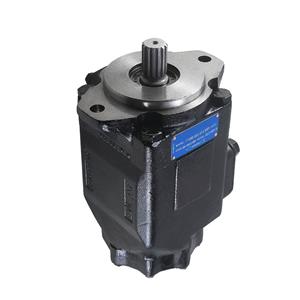 Replace Parker Denison Double Vane Pump T7DBS-B14/B17/B20/B22/B24/B28/B31/B35/B38/B42/B450-B02/B03/B04/B05/B06/B07/B08/B09/B10/B11/B12/B14-1R00-A1M1