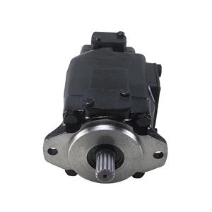 Replace Parker Denison Double Vane Pump T7DBS-B14/B17/B20/B22/B24/B28/B31/B35/B38/B42/B450-B02/B03/B04/B05/B06/B07/B08/B09/B10/B11/B12/B14-1R00-A1M1