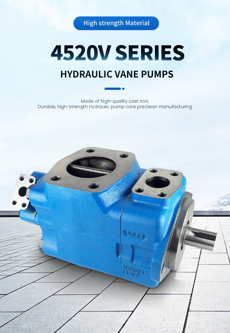 Packing machine vane pump