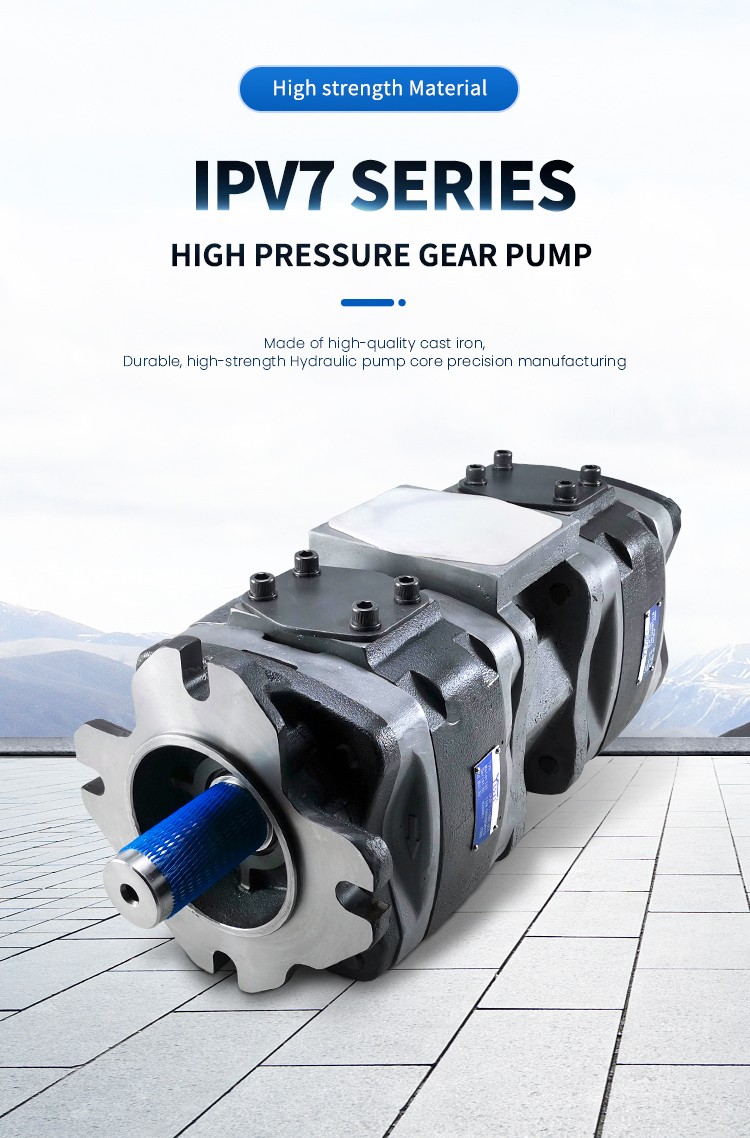 Voith tandem pump