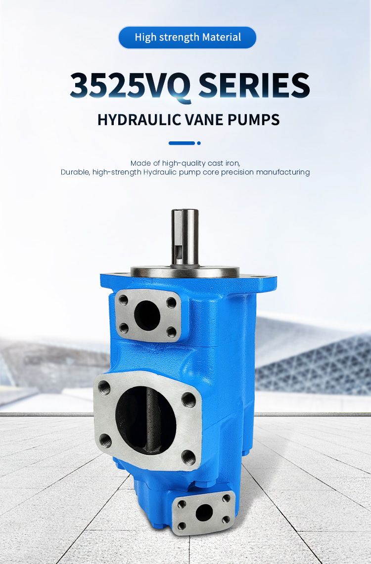 Double vane pump