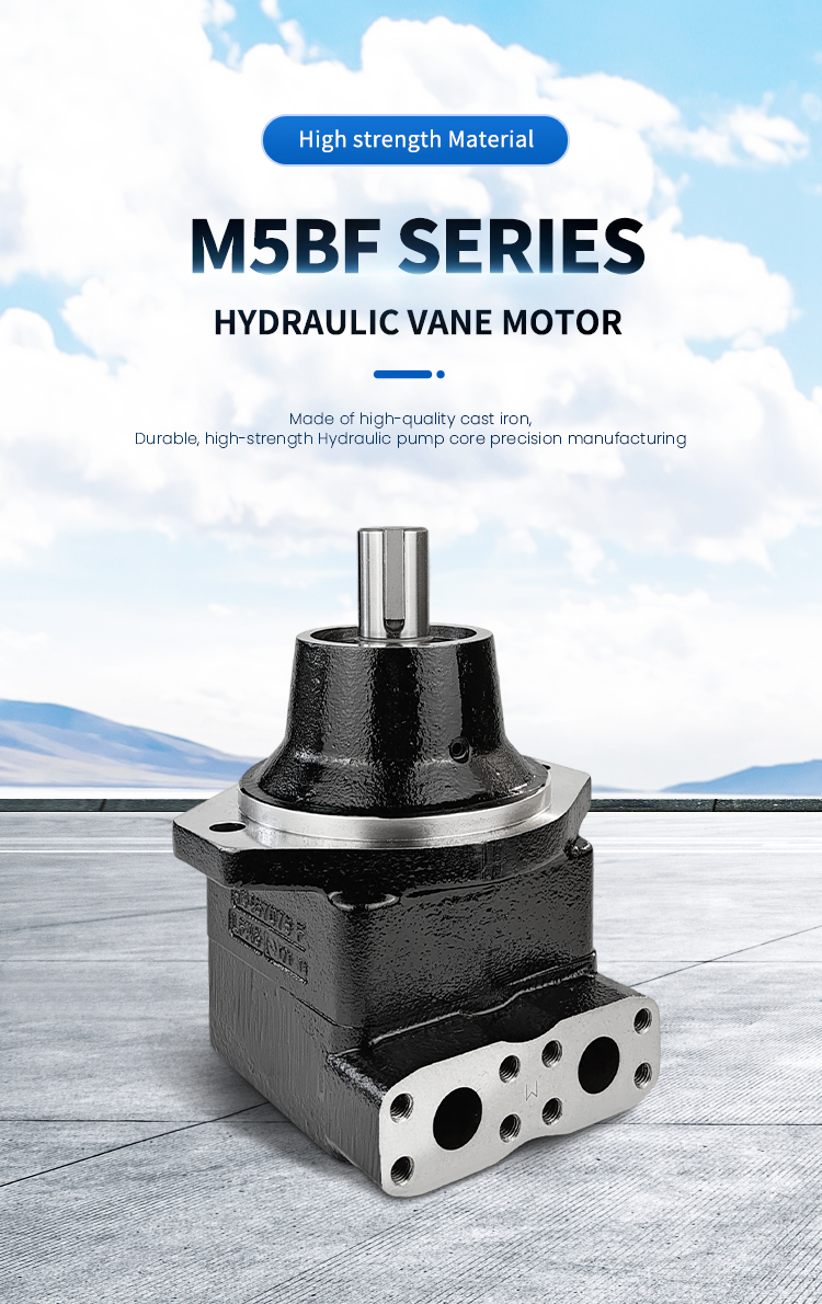 Hydraulic winch motor