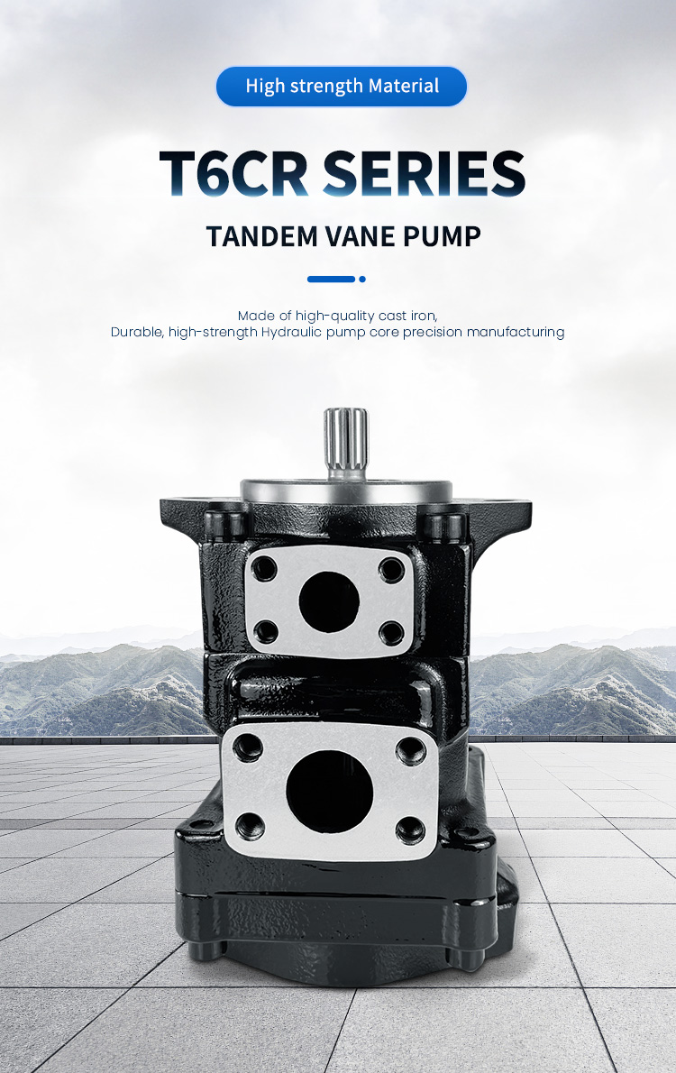 Supply PARKER DENISON type tandem vane hydraulic pump